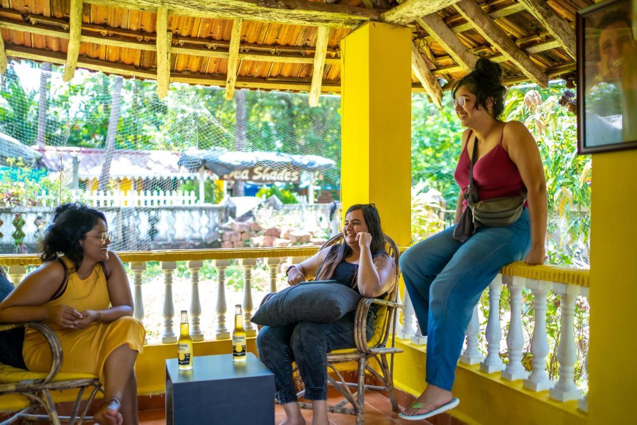 Hostel Whoopers
